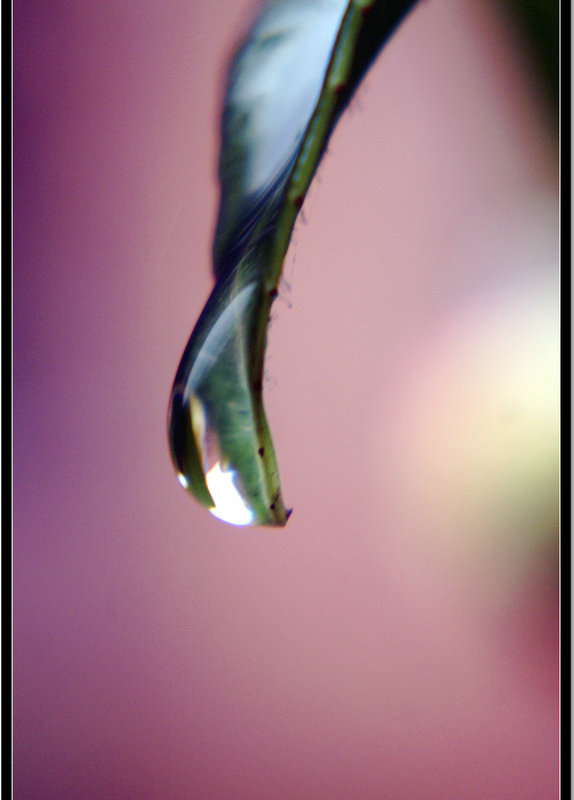 DSC01215.JPG