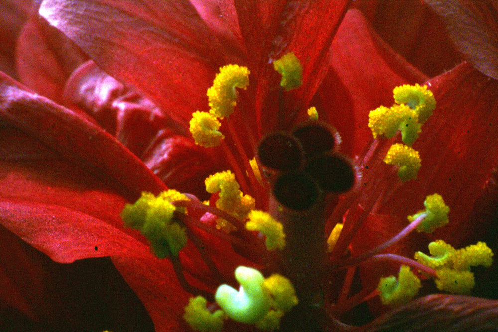 DSC02484.jpg