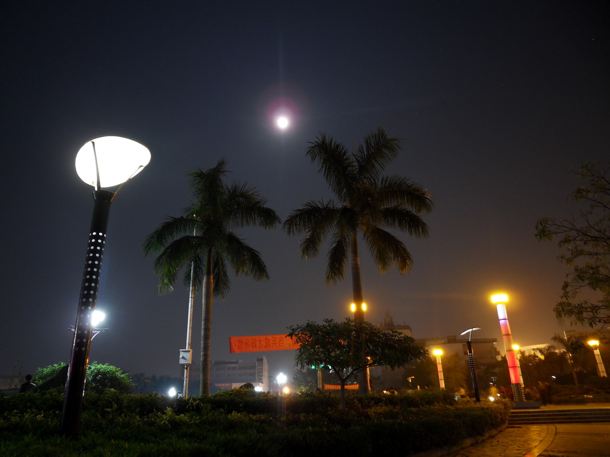 SDC19718.jpg