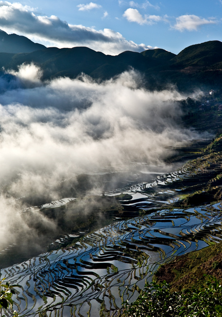 哈尼梯田6.jpg