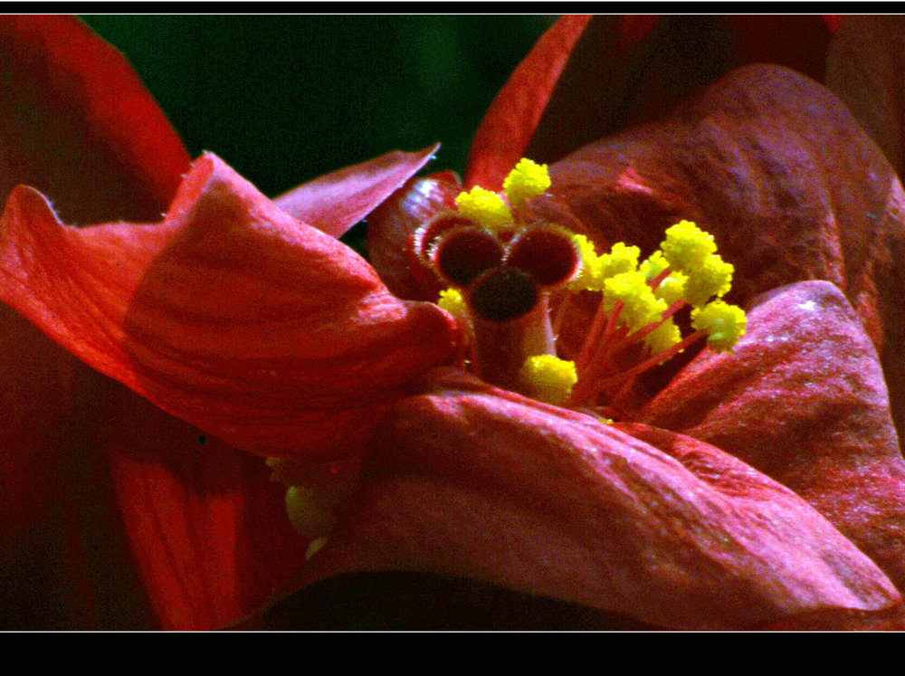DSC02768.jpg