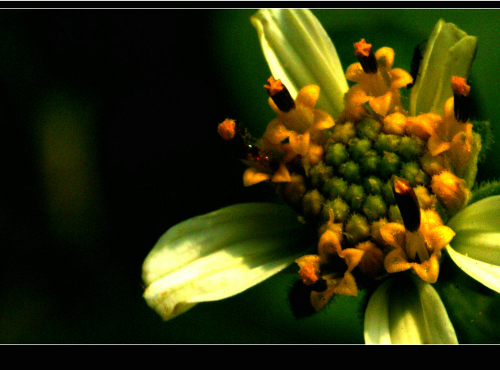 DSC02879.jpg
