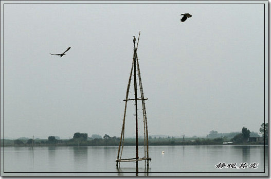 06.jpg
