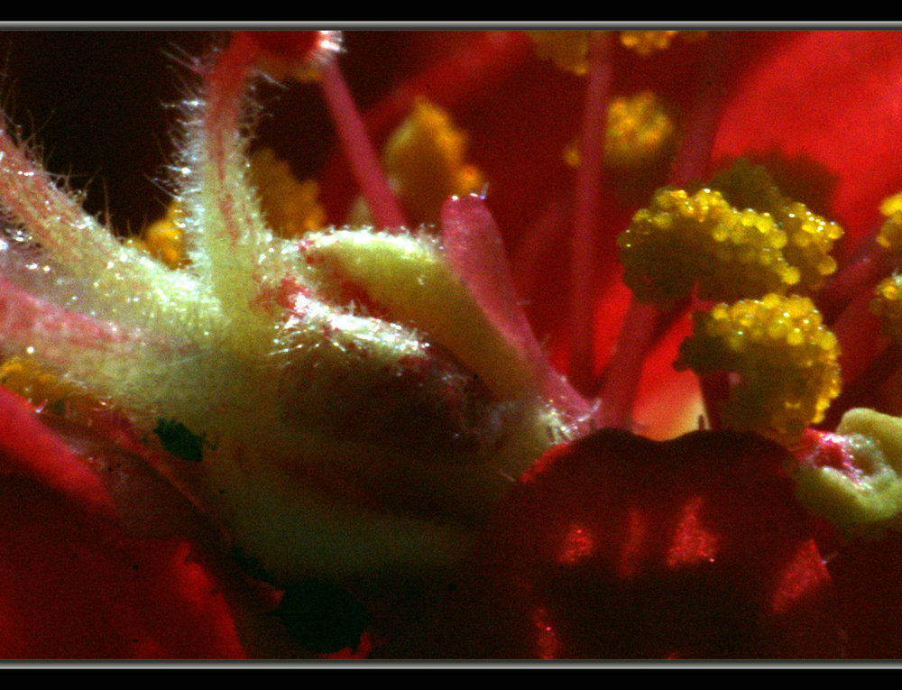 DSC03436.jpg