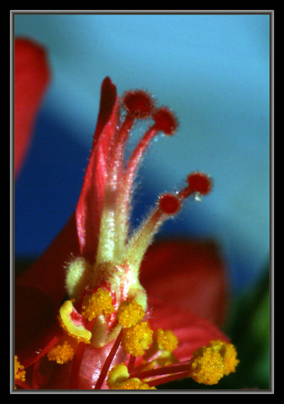 DSC03504.jpg
