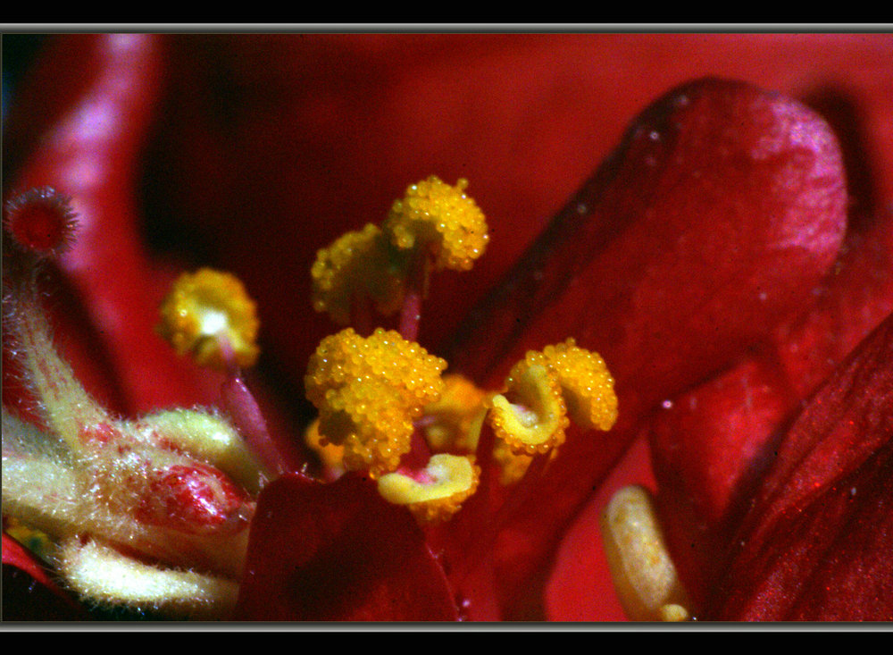 DSC03508.jpg