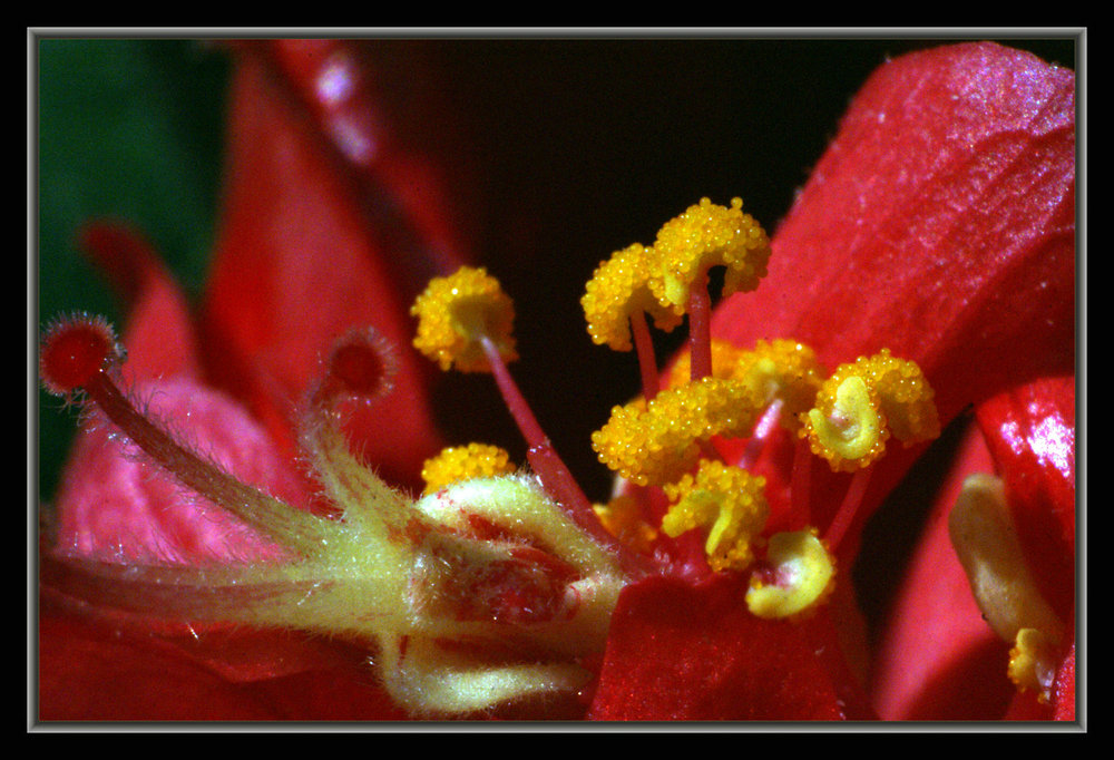 DSC03555.JPG