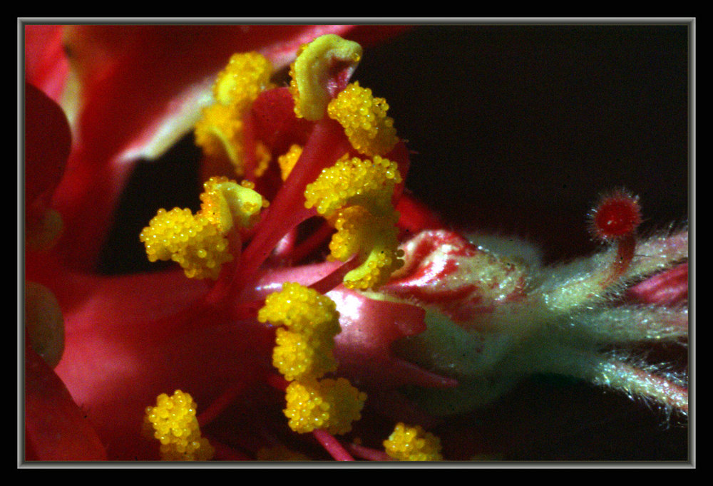 DSC03564.JPG