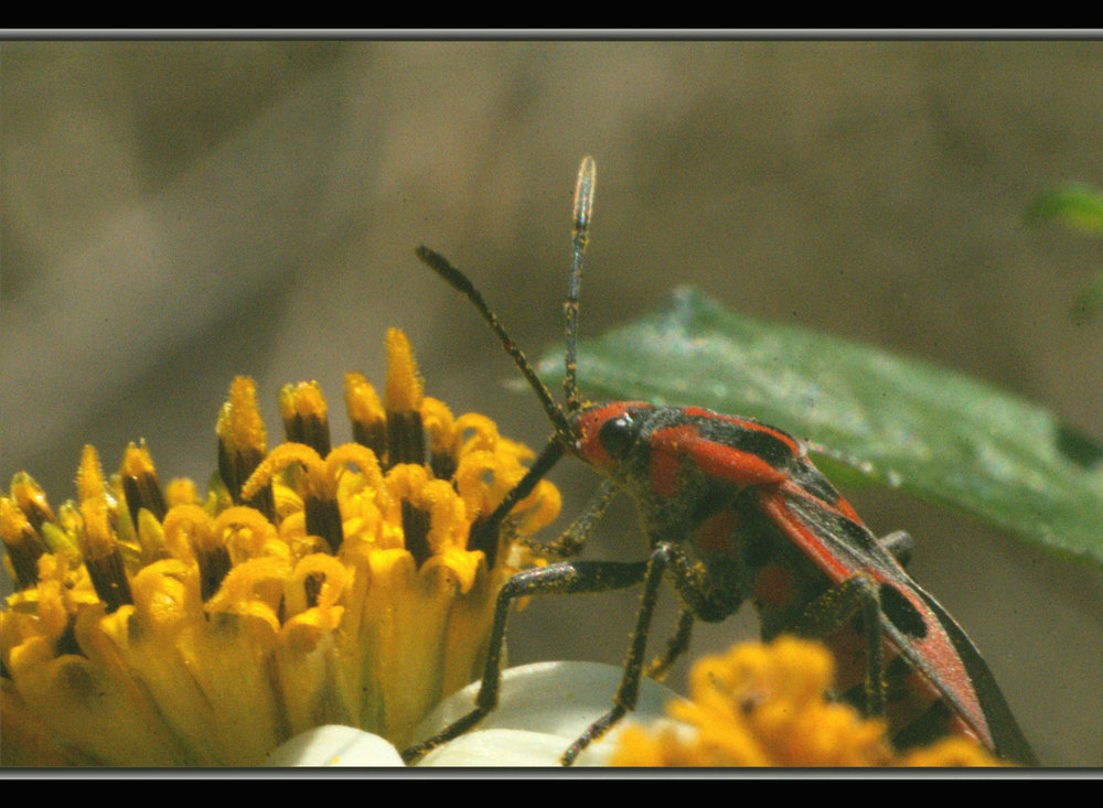 DSC03776.jpg
