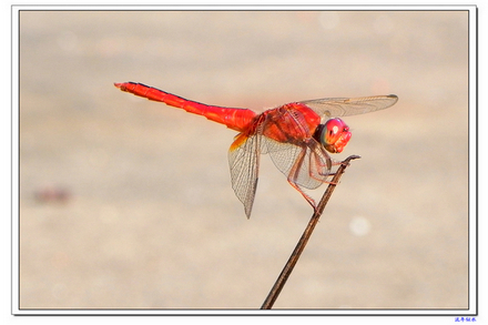 DSCN3910.JPG