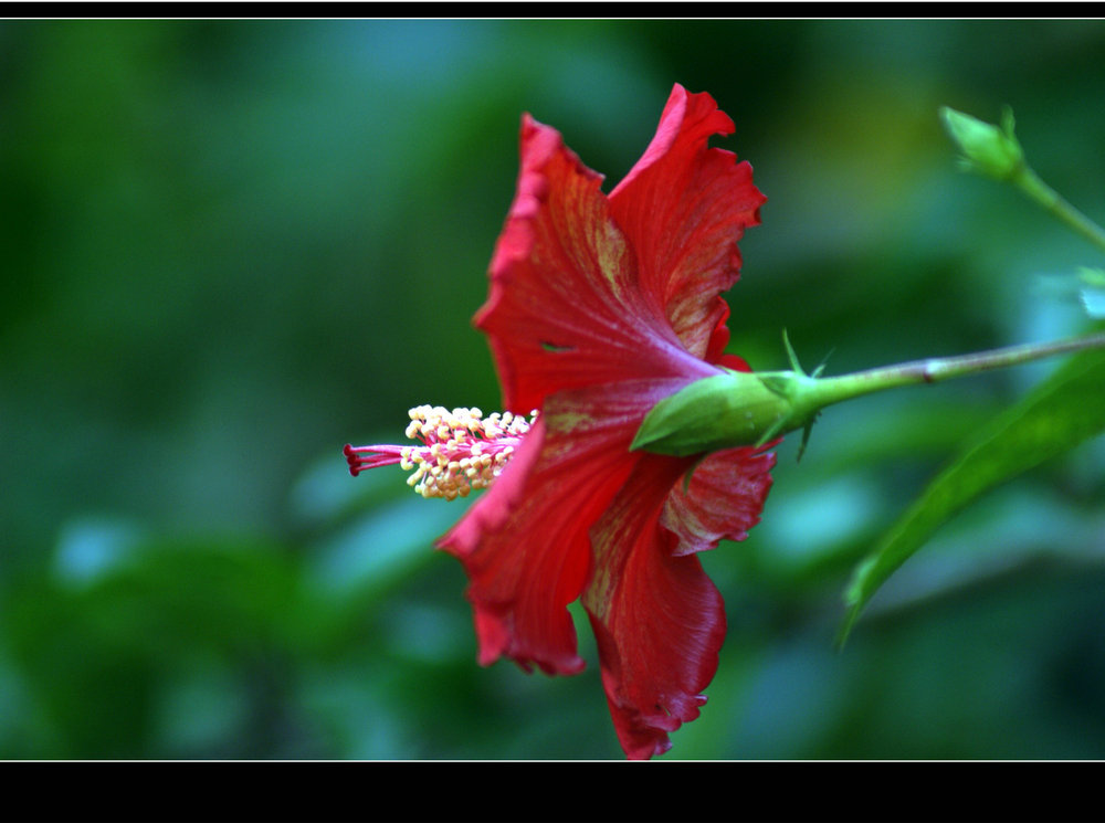 DSC09289.JPG