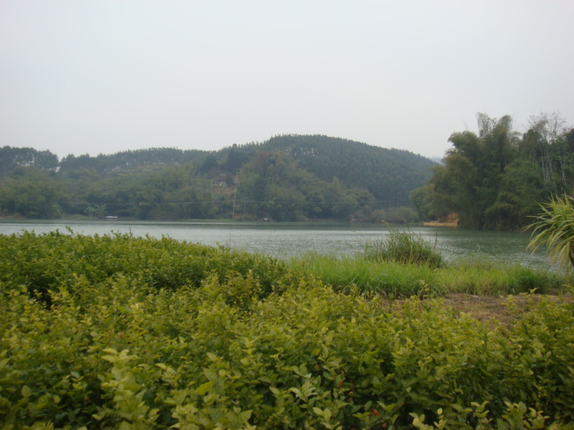 DSC08940.JPG