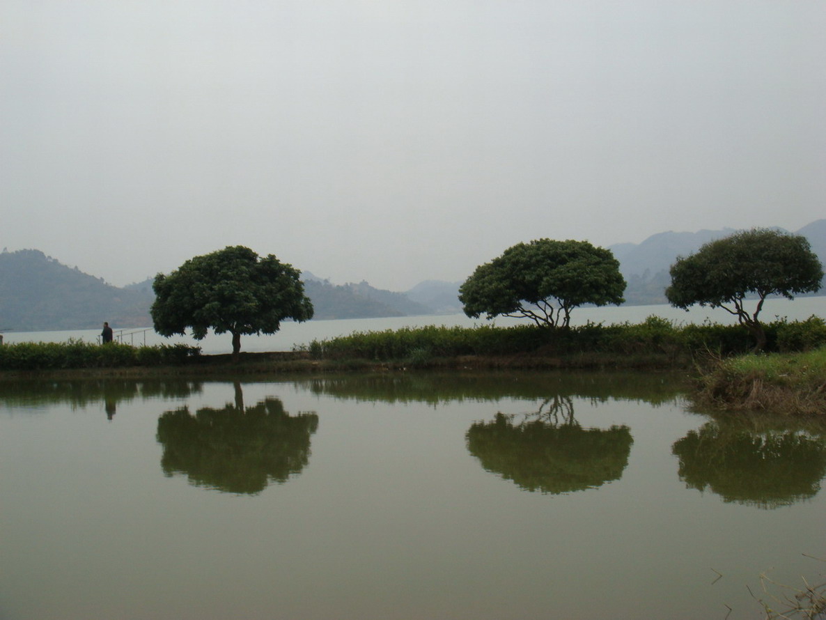 DSC08957.JPG