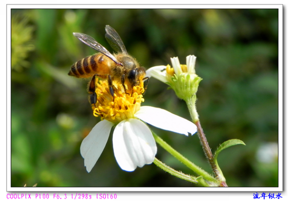 DSCN8529.JPG