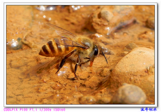 DSCN8593.JPG