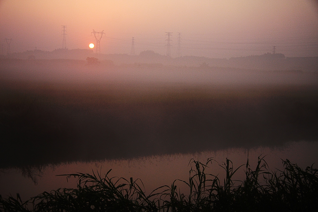 IMG_8514000.jpg