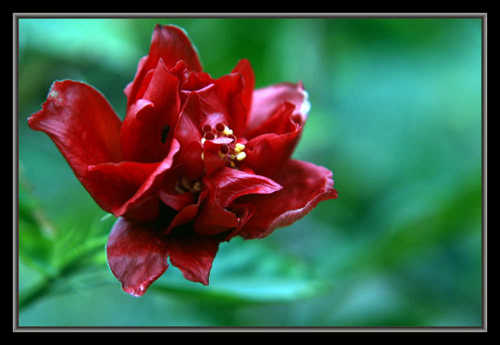 DSC04813.jpg