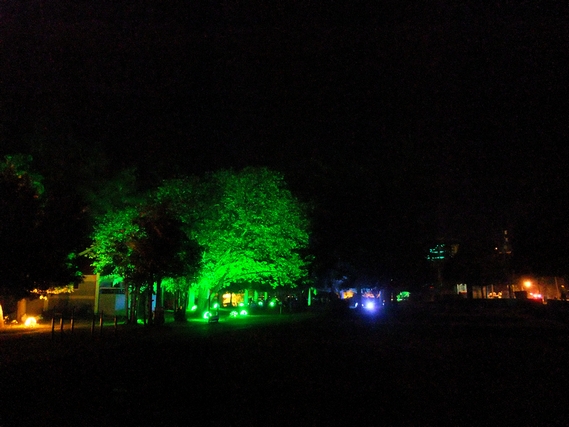 DSCF3446.jpg
