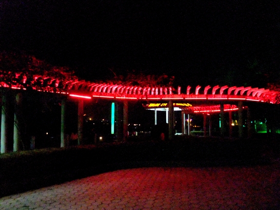 DSCF3491.jpg