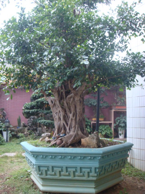 DSC09248.JPG