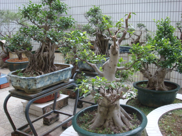 DSC09240.JPG