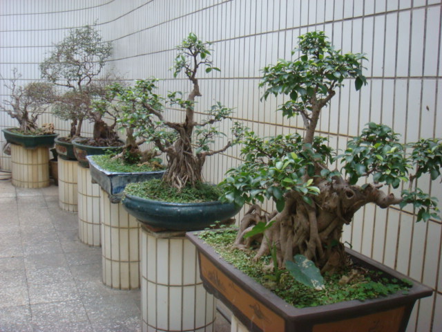 DSC09245.JPG