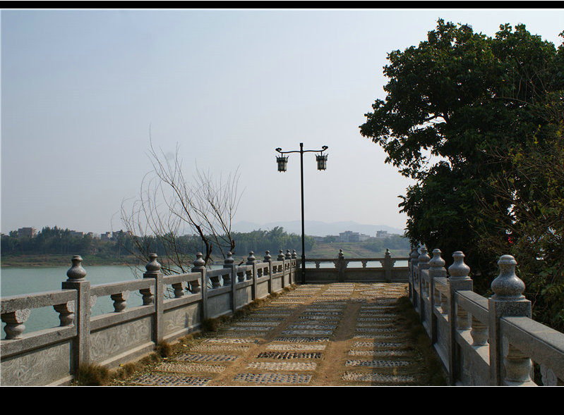 DSC05105_副本.jpg