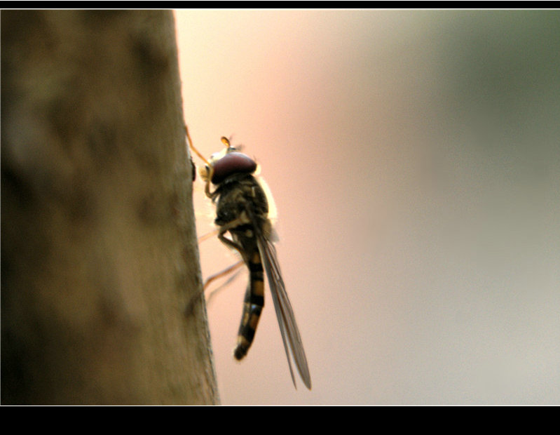 DSC05400_副本.jpg