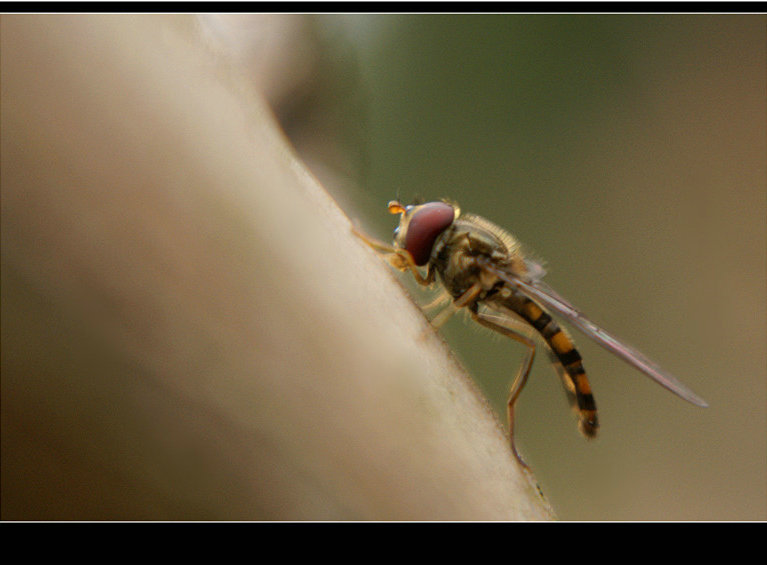 DSC05407_副本.jpg