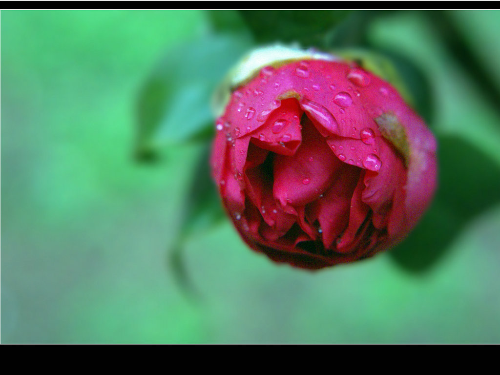 DSC05476.JPG