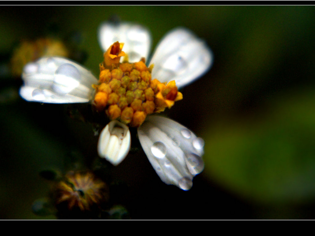 DSC05485.JPG