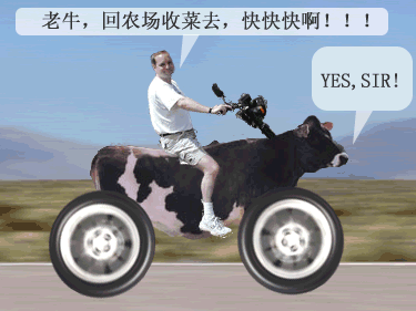 老牛.gif