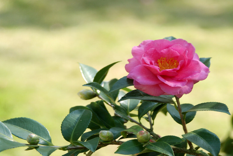 a8448743_s.jpg