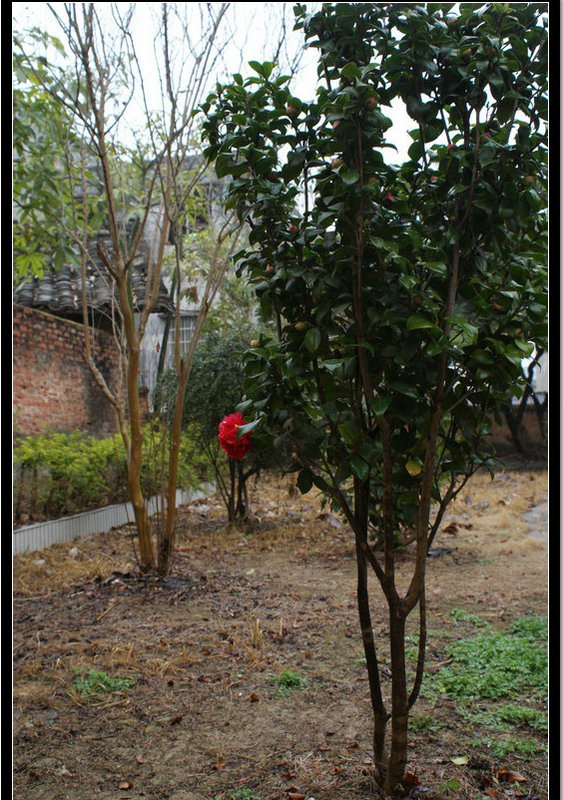 DSC06614.JPG