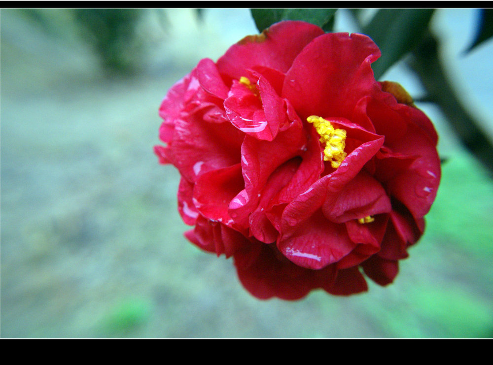 DSC06545.JPG