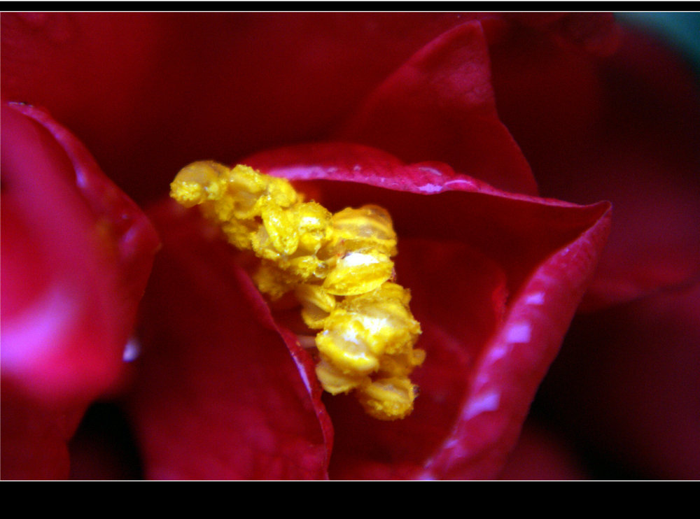 DSC06610.JPG