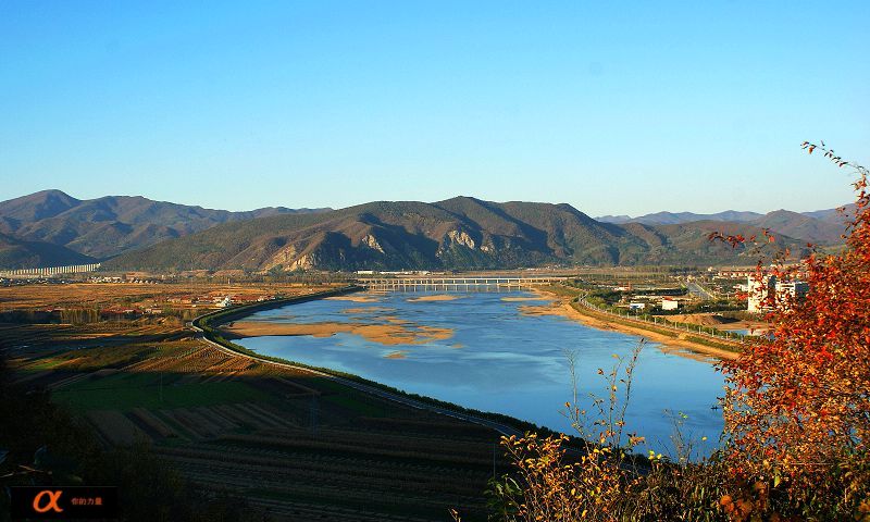 9447861_0800.jpg