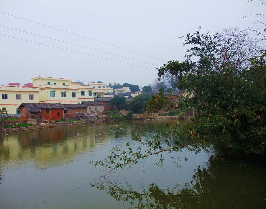 DSCF3650.jpg