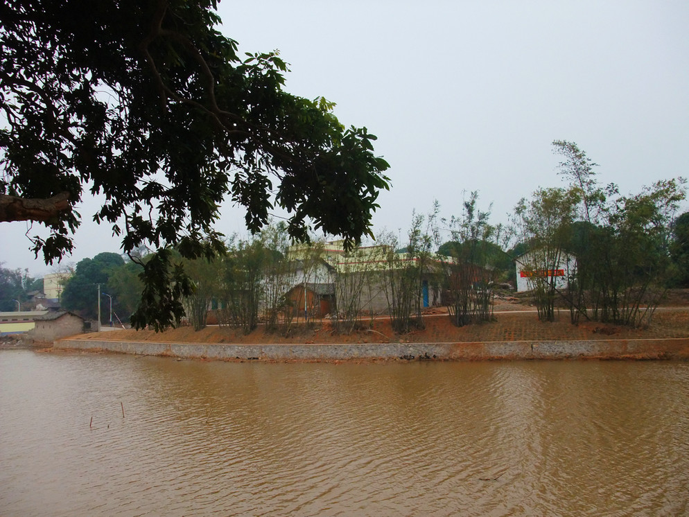 DSCF3608.jpg
