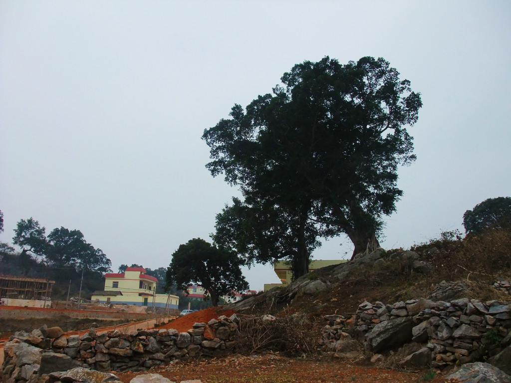DSCF3615.jpg