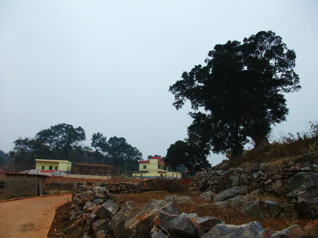 DSCF3618.jpg