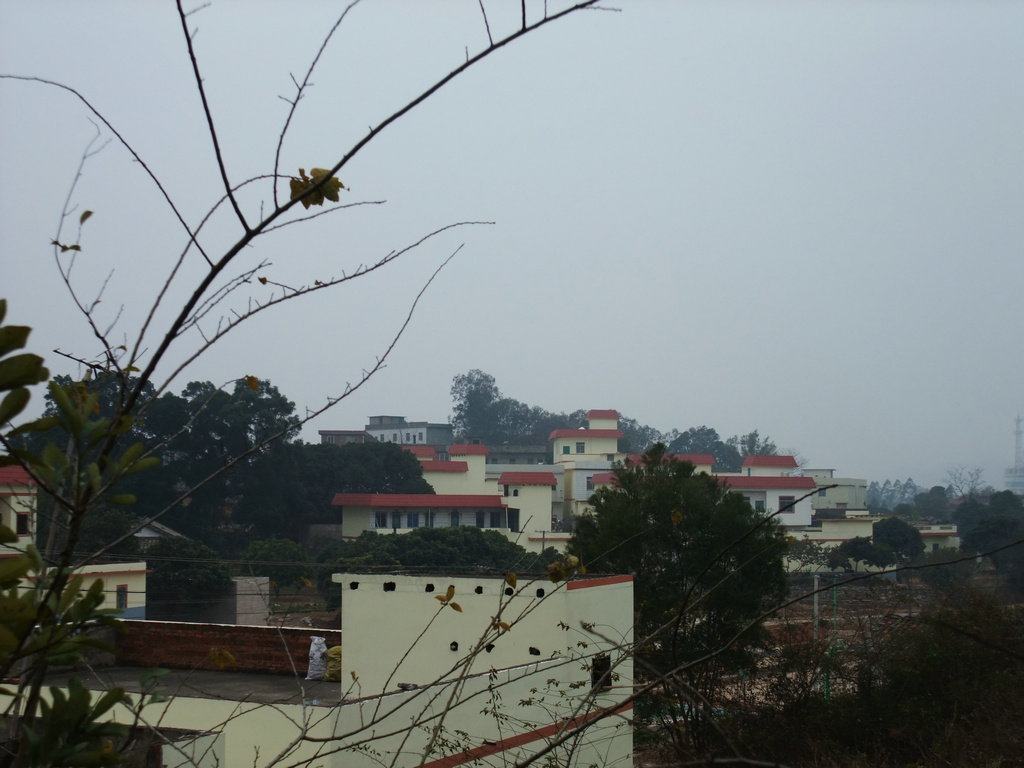 DSCF3623.jpg