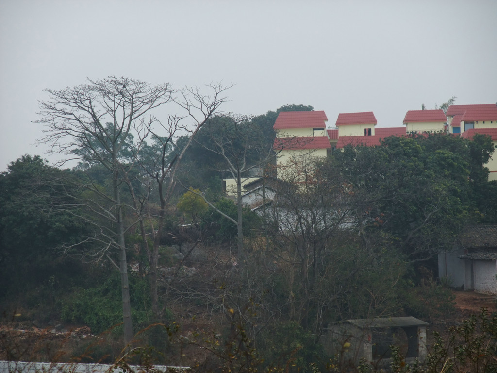 DSCF3631.jpg