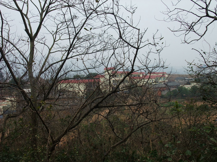 DSCF3640.jpg