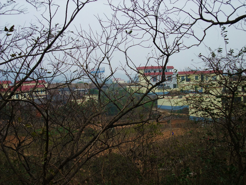 DSCF3643.jpg