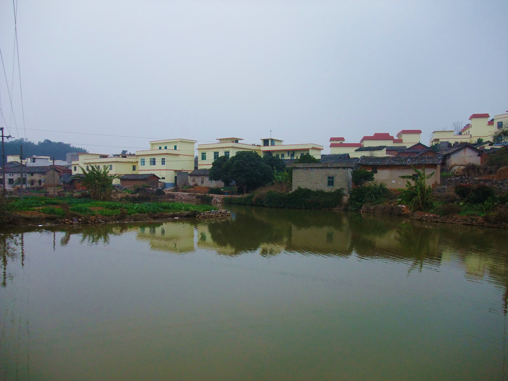 DSCF3646.jpg