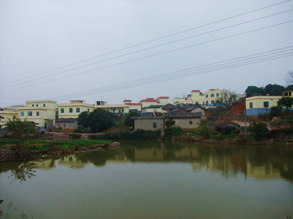 DSCF3649.jpg