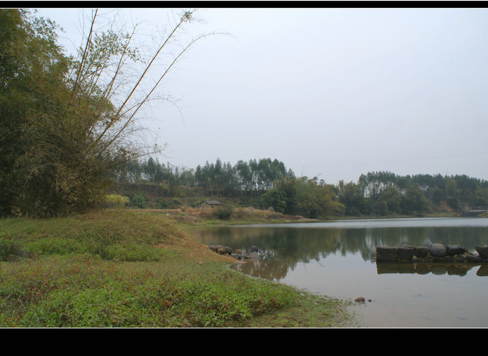 DSC06117.JPG