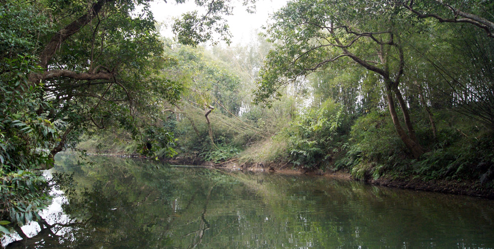 DSC03268 副本.jpg