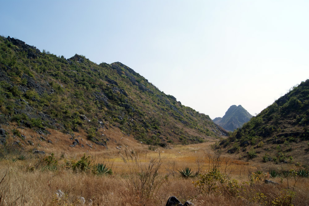 山3336.jpg